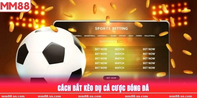 kèo dụ nhà cái